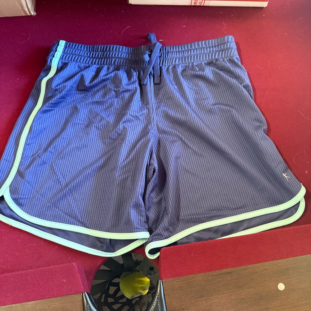 Danskin Navy and Teal Athletic Shorts